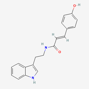 molecular formula C19H18N2O2 B8009456 Nb-p-Coumaroyltryptamine CAS No. 53905-12-7