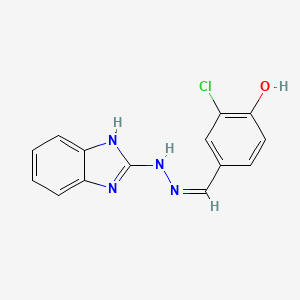 molecular formula C14H11ClN4O B8010849 4-[(Z)-(1H-benzimidazol-2-ylhydrazinylidene)methyl]-2-chlorophenol 