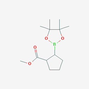 molecular formula C13H23BO4 B8011956 Methyl 2-(4,4,5,5-tetramethyl-1,3,2-dioxaborolan-2-yl)cyclopentane-1-carboxylate 