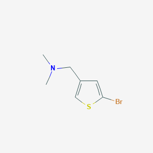 molecular formula C7H10BrNS B8013007 1-(5-bromothiophen-3-yl)-N,N-dimethylmethanamine 