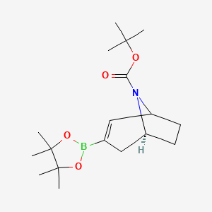 molecular formula C18H30BNO4 B8013904 tert-butyl (5S)-3-(4,4,5,5-tetramethyl-1,3,2-dioxaborolan-2-yl)-8-azabicyclo[3.2.1]oct-2-ene-8-carboxylate 