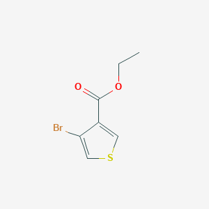 molecular formula C7H7BrO2S B8014619 4-溴噻吩-3-羧酸乙酯 