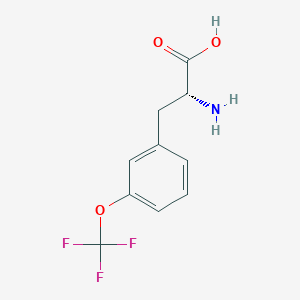 molecular formula C10H10F3NO3 B8015207 3-(Trifluoromethoxy)-D-phenylalanine 