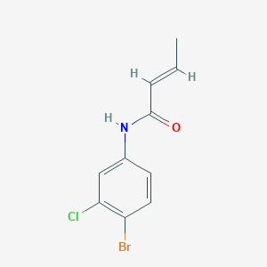 But-2-enoic acid (4-bromo-3-chloro-phenyl)-amide