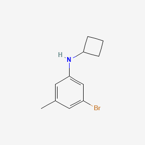 molecular formula C11H14BrN B8015374 3-Bromo-N-cyclobutyl-5-methylaniline 