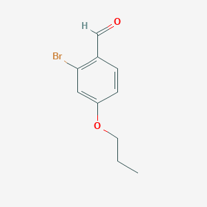 molecular formula C10H11BrO2 B8015585 2-Bromo-4-propoxybenzaldehyde 