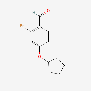 molecular formula C12H13BrO2 B8015601 2-Bromo-4-(cyclopentyloxy)benzaldehyde 