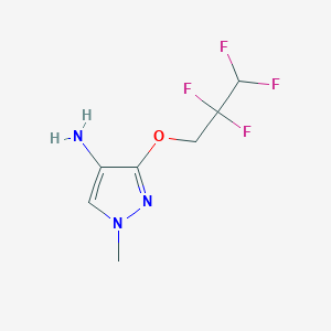 molecular formula C7H9F4N3O B8015619 1-methyl-3-(2,2,3,3-tetrafluoropropoxy)-1H-pyrazol-4-amine CAS No. 1429419-58-8