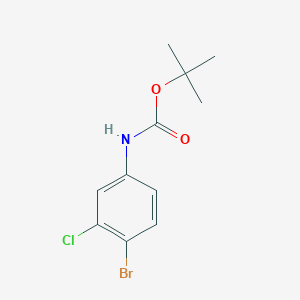 molecular formula C11H13BrClNO2 B8016043 tert-butyl N-(4-bromo-3-chlorophenyl)carbamate 