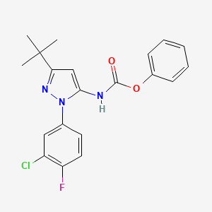 molecular formula C20H19ClFN3O2 B8016570 phenyl N-[5-tert-butyl-2-(3-chloro-4-fluorophenyl)pyrazol-3-yl]carbamate 