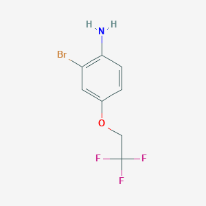 molecular formula C8H7BrF3NO B8017711 2-Bromo-4-(2,2,2-trifluoroethoxy)aniline 