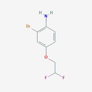 molecular formula C8H8BrF2NO B8017717 2-Bromo-4-(2,2-difluoroethoxy)aniline 