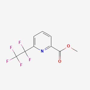 molecular formula C9H6F5NO2 B8017895 Methyl 6-(pentafluoroethyl)pyridine-2-carboxylate CAS No. 1580464-66-9