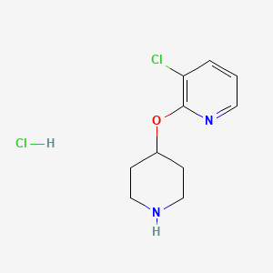 molecular formula C10H14Cl2N2O B8018062 3-Chloro-2-(piperidin-4-yloxy)pyridine hydrochloride 