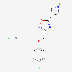 molecular formula C12H13Cl2N3O2 B8018168 5-(Azetidin-3-yl)-3-((4-chlorophenoxy)methyl)-1,2,4-oxadiazole hydrochloride 