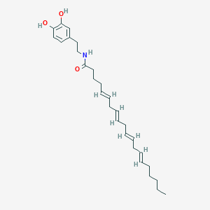molecular formula C28H41NO3 B8018664 N-[2-(3,4-dihydroxyphenyl)ethyl]icosa-5,8,11,14-tetraenamide 