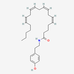 molecular formula C28H41NO2 B8018665 N-花生酰酪胺 