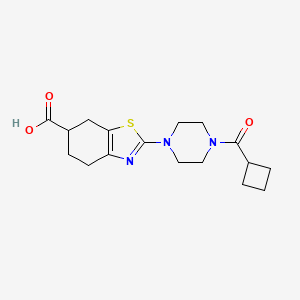 molecular formula C17H23N3O3S B8019407 2-[4-(Cyclobutylcarbonyl)piperazino]-4,5,6,7-tetrahydro-1,3-benzothiazole-6-carboxylic acid 