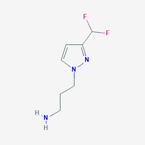 molecular formula C7H11F2N3 B8019927 3-[3-(Difluoromethyl)-1H-pyrazol-1-yl]propan-1-amine 