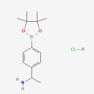 molecular formula C14H23BClNO2 B8020105 1-[4-(Tetramethyl-1,3,2-dioxaborolan-2-yl)phenyl]ethan-1-amine hydrochloride 