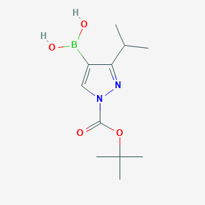 molecular formula C11H19BN2O4 B8020383 1-(tert-Butoxycarbonyl)-3-isopropylpyrazole-4-boronic acid 
