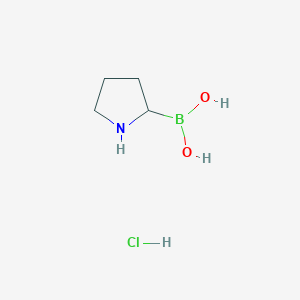 molecular formula C4H11BClNO2 B8020386 (Pyrrolidin-2-yl)boronic acid hydrochloride 