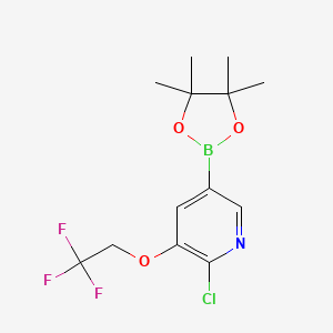molecular formula C13H16BClF3NO3 B8020858 2-Chloro-5-(4,4,5,5-tetramethyl-1,3,2-dioxaborolan-2-yl)-3-(2,2,2-trifluoroethoxy)pyridine 