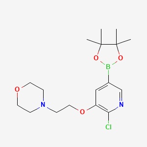 molecular formula C17H26BClN2O4 B8020881 4-(2-((2-Chloro-5-(4,4,5,5-tetramethyl-1,3,2-dioxaborolan-2-yl)pyridin-3-yl)oxy)ethyl)morpholine 