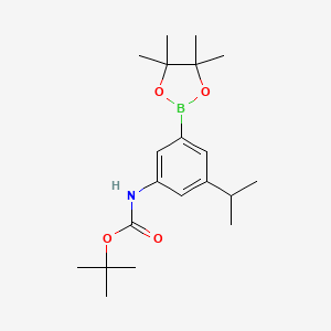 molecular formula C20H32BNO4 B8020882 tert-Butyl N-[3-isopropyl-5-(tetramethyl-1,3,2-dioxaborolan-2-yl)phenyl]carbamate 