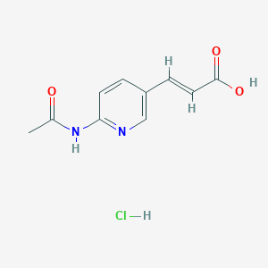 molecular formula C10H11ClN2O3 B8021065 3-(6-Acetamidopyridin-3-yl)acrylic acid hydrochloride 