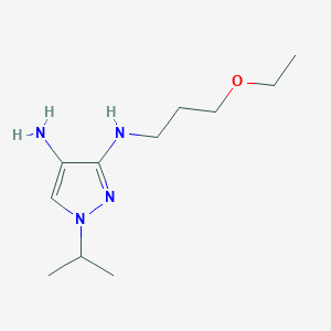 molecular formula C11H22N4O B8021343 N3-(3-ethoxypropyl)-1-(propan-2-yl)-1H-pyrazole-3,4-diamine 