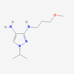 molecular formula C10H20N4O B8021348 N3-(3-methoxypropyl)-1-(propan-2-yl)-1H-pyrazole-3,4-diamine 
