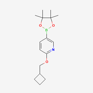 molecular formula C16H24BNO3 B8021402 2-Cyclobutylmethoxy-5-(4,4,5,5-tetramethyl-[1,3,2]dioxaborolan-2-yl)-pyridine 