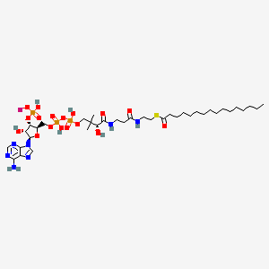 molecular formula C37H65KN7O17P3S B8022882 棕榈酰辅酶A钾盐 
