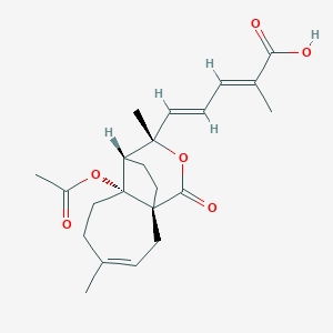 molecular formula C22H28O6 B8022942 (2E,4E)-5-[(1R,7R,8S,9S)-7-acetyloxy-4,9-dimethyl-11-oxo-10-oxatricyclo[6.3.2.01,7]tridec-3-en-9-yl]-2-methylpenta-2,4-dienoic acid 