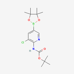 molecular formula C16H24BClN2O4 B8023629 2-Boc-amino-3-chloropyridine-5-boronic acid pinacol ester 