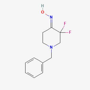 molecular formula C12H14F2N2O B8024292 1-benzyl-3,3-Difluoropiperidin-4-one oxime 