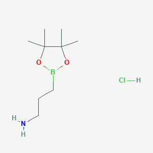 molecular formula C9H21BClNO2 B8024617 3-(Tetramethyl-1,3,2-dioxaborolan-2-yl)propan-1-amine hydrochloride 