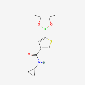molecular formula C14H20BNO3S B8024632 N-Cyclopropyl-5-(4,4,5,5-tetramethyl-1,3,2-dioxaborolan-2-yl)thiophene-3-carboxamide 