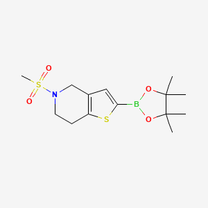 molecular formula C14H22BNO4S2 B8024637 5-Methanesulfonyl-4H,6H,7H-thieno[3,2-c]pyridine-2-boronic acid pinacol ester 