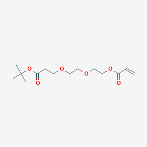 molecular formula C14H24O6 B8024834 Acrylate-PEG3-t-butyl ester 