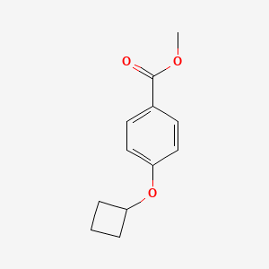 molecular formula C12H14O3 B8025280 4-Cyclobutoxy-benzoic acid methyl ester 