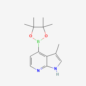 molecular formula C14H19BN2O2 B8025539 3-Methyl-4-(4,4,5,5-tetramethyl-1,3,2-dioxaborolan-2-yl)-1H-pyrrolo[2,3-b]pyridine CAS No. 2304634-64-6