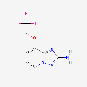 molecular formula C8H7F3N4O B8026614 8-(2,2,2-三氟乙氧基)-[1,2,4]三唑并[1,5-a]吡啶-2-胺 