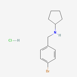 molecular formula C12H17BrClN B8027158 N-[(4-Bromophenyl)methyl]cyclopentanamine hydrochloride 
