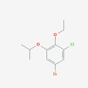 molecular formula C11H14BrClO2 B8027191 5-Bromo-1-chloro-2-ethoxy-3-(propan-2-yloxy)benzene CAS No. 1881290-87-4