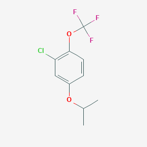 molecular formula C10H10ClF3O2 B8027838 2-Chloro-4-isopropoxy-1-(trifluoromethoxy)benzene 