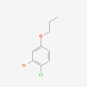 molecular formula C9H10BrClO B8028947 2-Bromo-1-chloro-4-propoxybenzene 