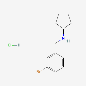molecular formula C12H17BrClN B8028991 3-Bromo-n-cyclopentyl-benzenemethanamine hydrochloride 