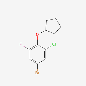 molecular formula C11H11BrClFO B8029026 5-Bromo-1-chloro-2-(cyclopentyloxy)-3-fluorobenzene CAS No. 1881320-70-2